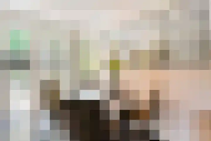 Koppellaan 2 Hardenberg thumbnail 23