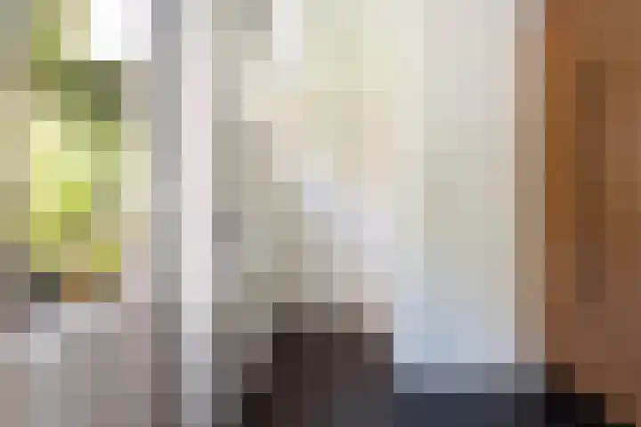 Koppellaan 2 Hardenberg thumbnail 24