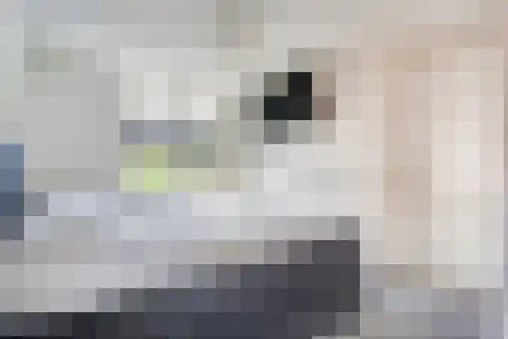 Koppellaan 2 Hardenberg thumbnail 32