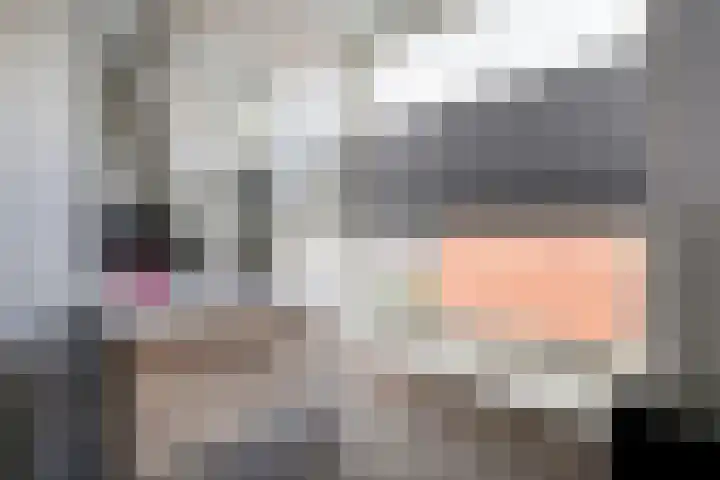 Koppellaan 2 Hardenberg thumbnail 34
