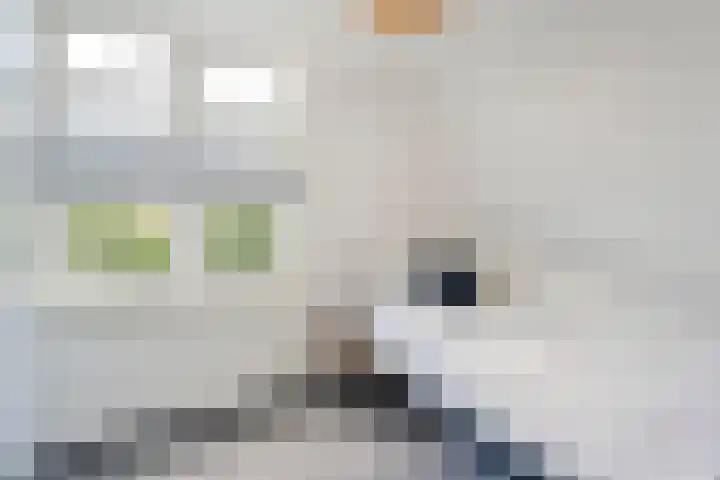 Koppellaan 2 Hardenberg thumbnail 37