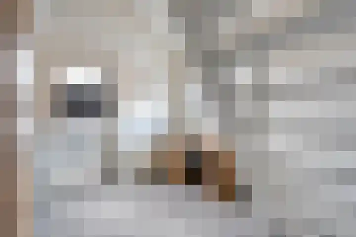 Koppellaan 2 Hardenberg thumbnail 39