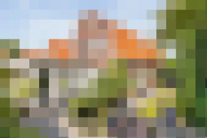 Koppellaan 2 Hardenberg thumbnail 47