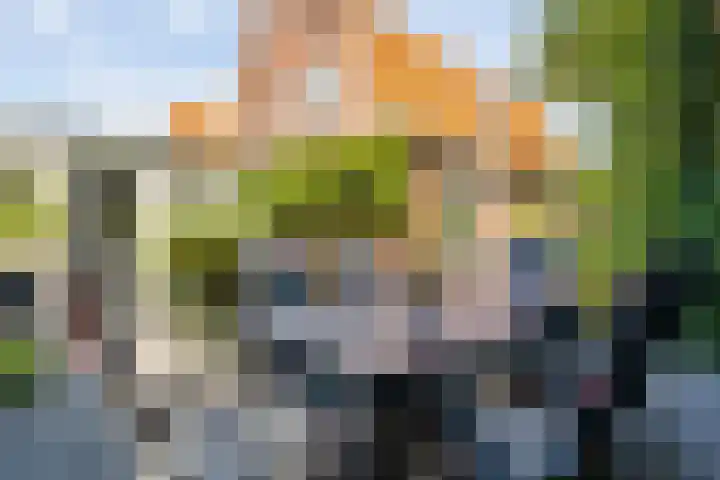 Koppellaan 2 Hardenberg thumbnail 48