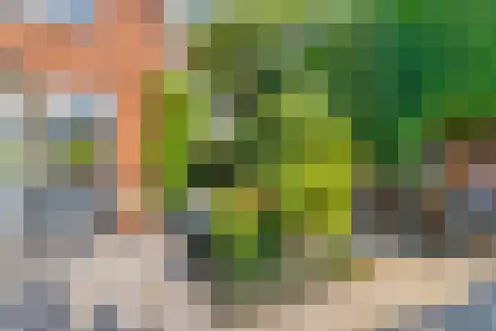 Koppellaan 2 Hardenberg thumbnail 49