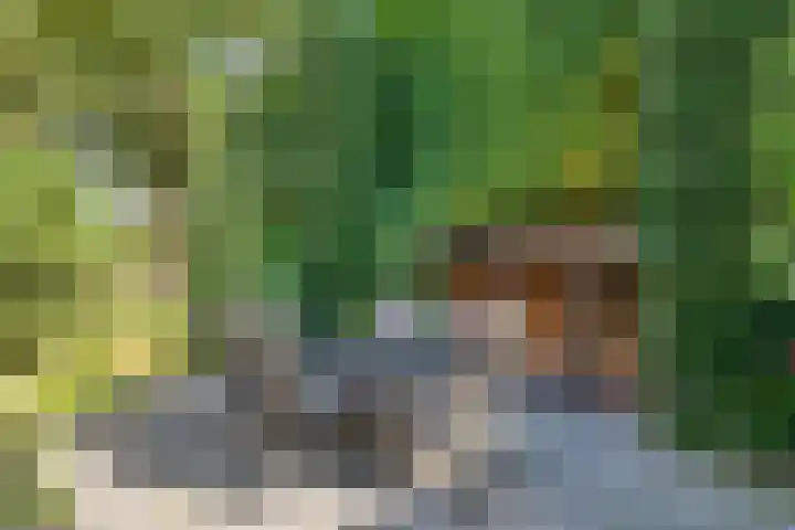 Koppellaan 2 Hardenberg thumbnail 50