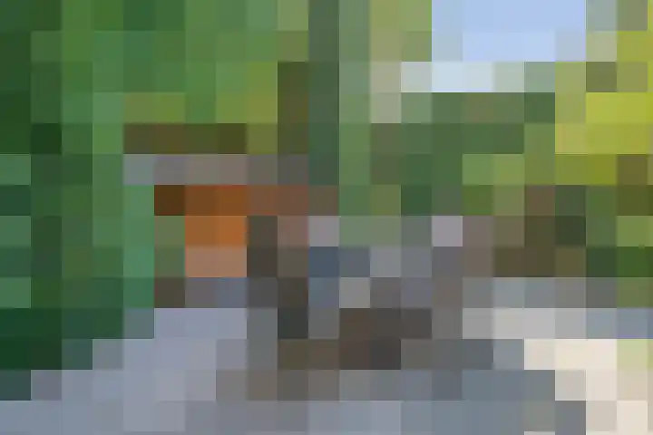 Koppellaan 2 Hardenberg thumbnail 51
