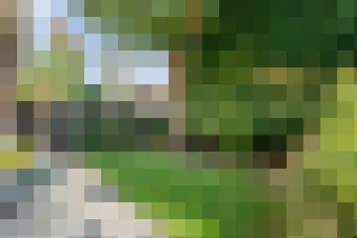 Koppellaan 2 Hardenberg thumbnail 52