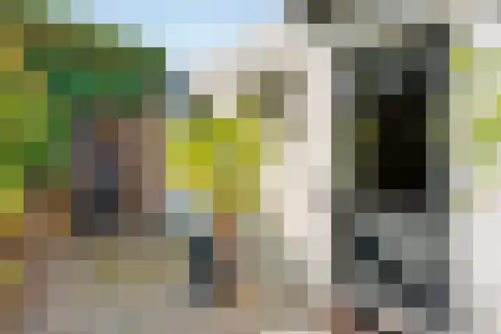 Koppellaan 2 Hardenberg thumbnail 53