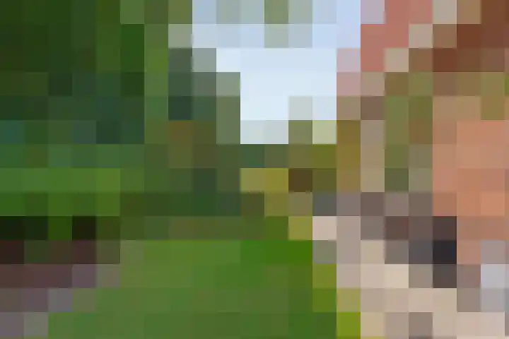 Koppellaan 2 Hardenberg thumbnail 56