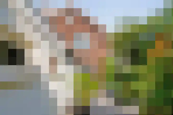 Koppellaan 2 Hardenberg thumbnail 58