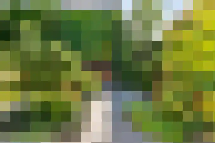 Koppellaan 2 Hardenberg thumbnail 59