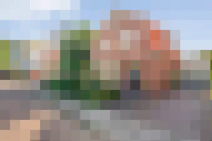 Koppellaan 2 Hardenberg thumbnail 63