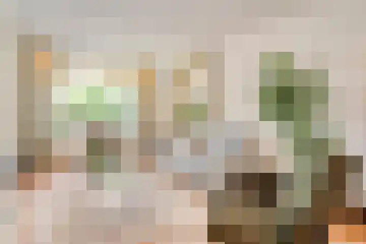 Koppellaan 2 Hardenberg thumbnail 8