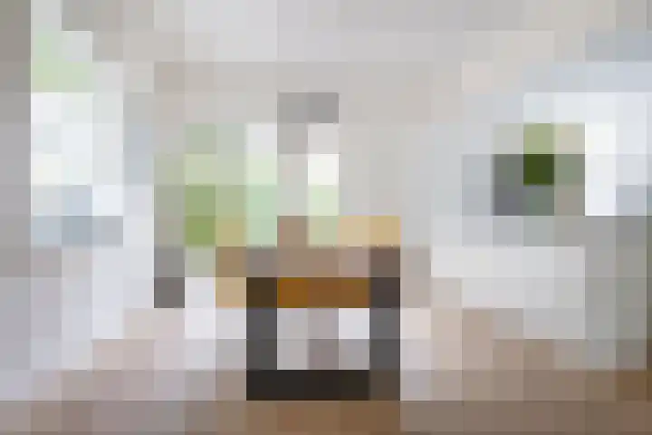 Koppellaan 3 Bilthoven thumbnail 14
