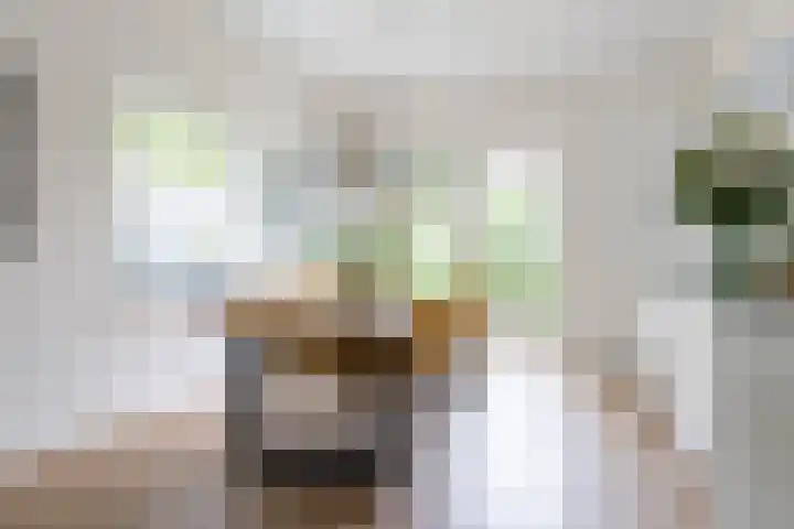 Koppellaan 3 Bilthoven thumbnail 15
