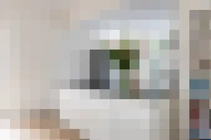 Koppellaan 3 Bilthoven thumbnail 17
