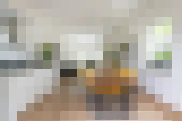 Koppellaan 3 Bilthoven thumbnail 23