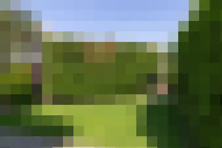 Koppellaan 3 Bilthoven thumbnail 46