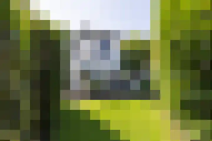Koppellaan 3 Bilthoven thumbnail 47