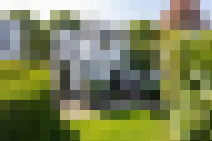 Koppellaan 3 Bilthoven thumbnail 48
