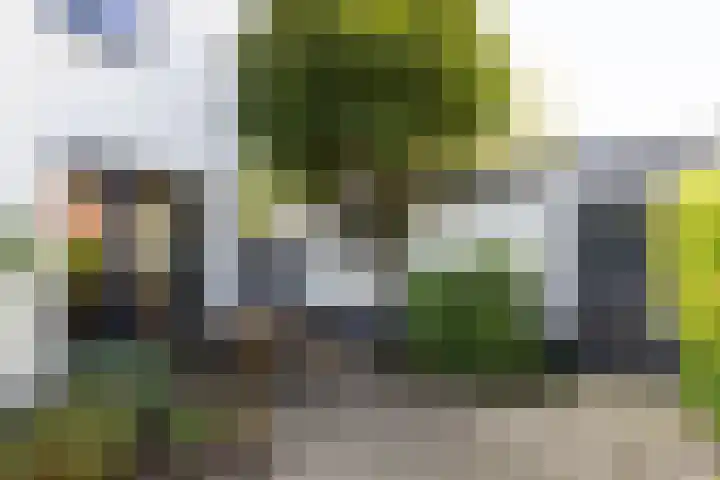 Koppellaan 3 Bilthoven thumbnail 50