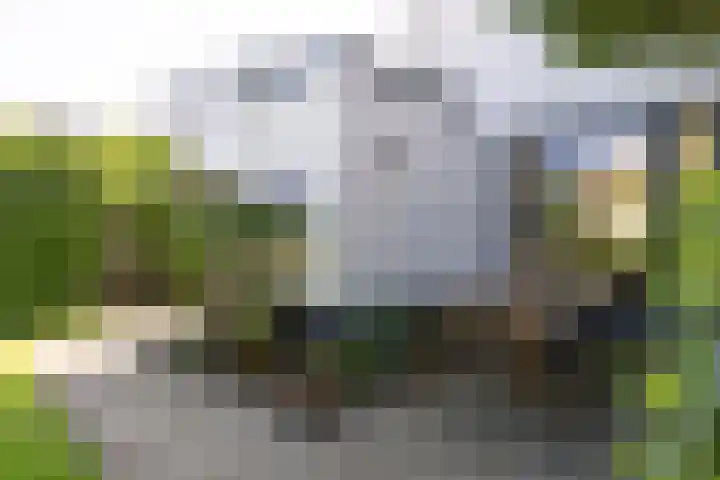 Koppellaan 3 Bilthoven thumbnail 51