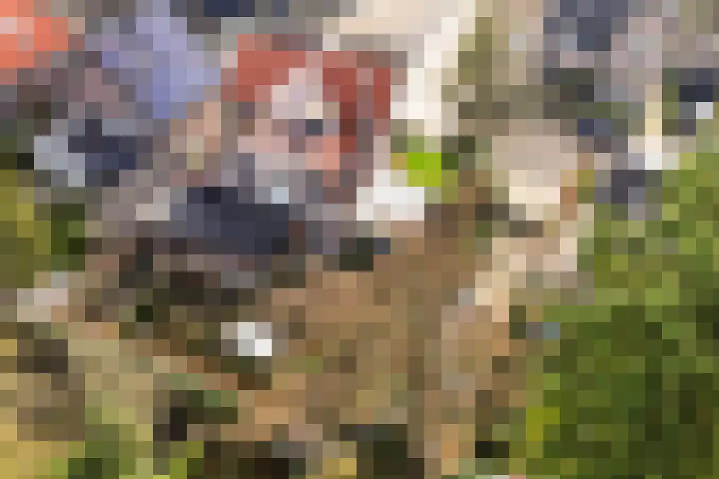 Koppellaan 6 Apeldoorn thumbnail 10