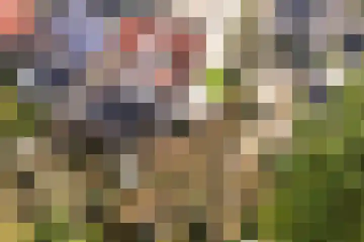 Koppellaan 6 Apeldoorn thumbnail 10
