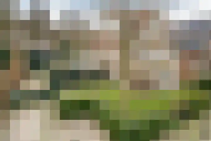 Koppellaan 6 Apeldoorn thumbnail 11