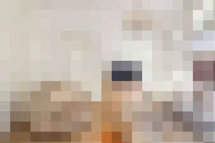 Koppellaan 6 Apeldoorn thumbnail 19