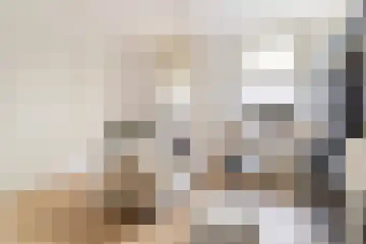 Koppellaan 6 Apeldoorn thumbnail 22