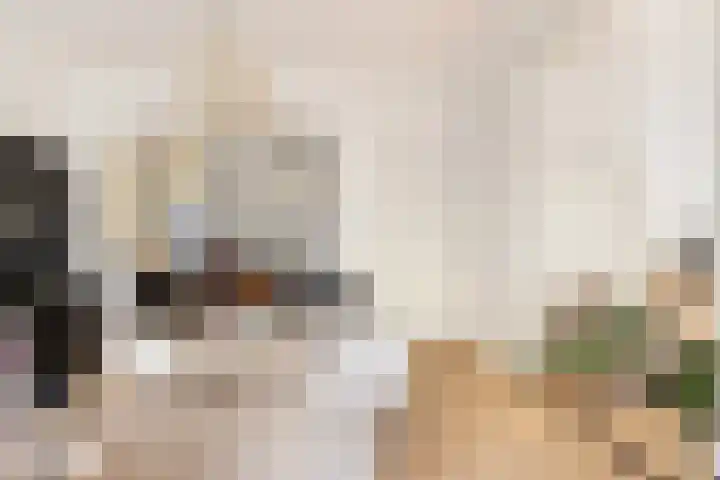 Koppellaan 6 Apeldoorn thumbnail 24