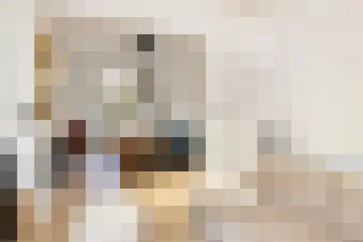 Koppellaan 6 Apeldoorn thumbnail 25