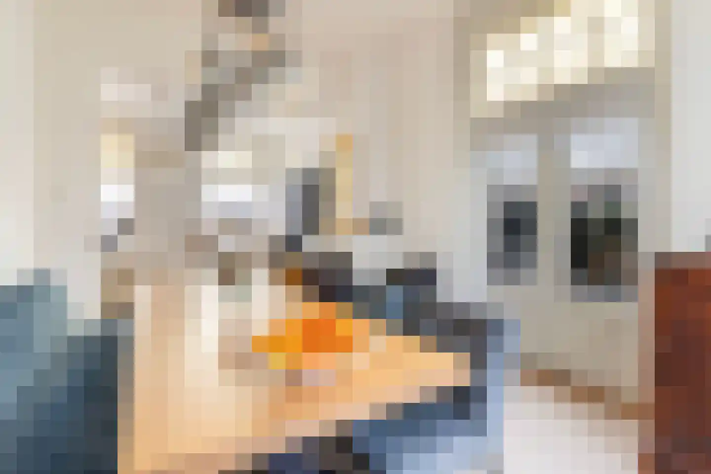 Koppellaan 6 Apeldoorn thumbnail 28