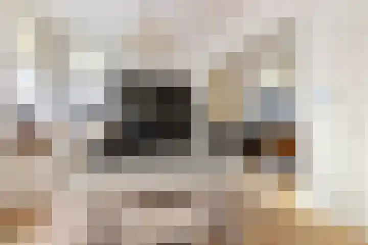 Koppellaan 6 Apeldoorn thumbnail 29