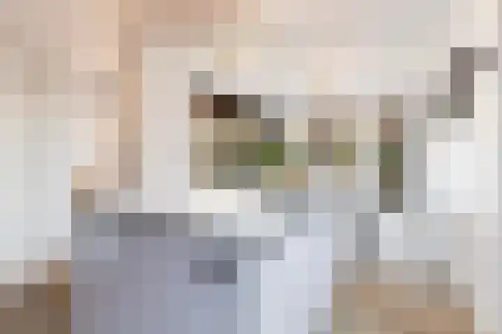 Koppellaan 6 Apeldoorn thumbnail 31