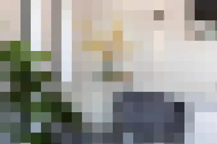 Koppellaan 6 Apeldoorn thumbnail 32