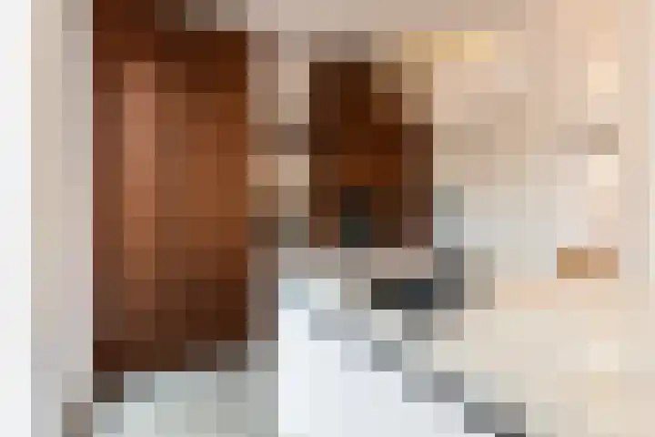 Koppellaan 6 Apeldoorn thumbnail 33