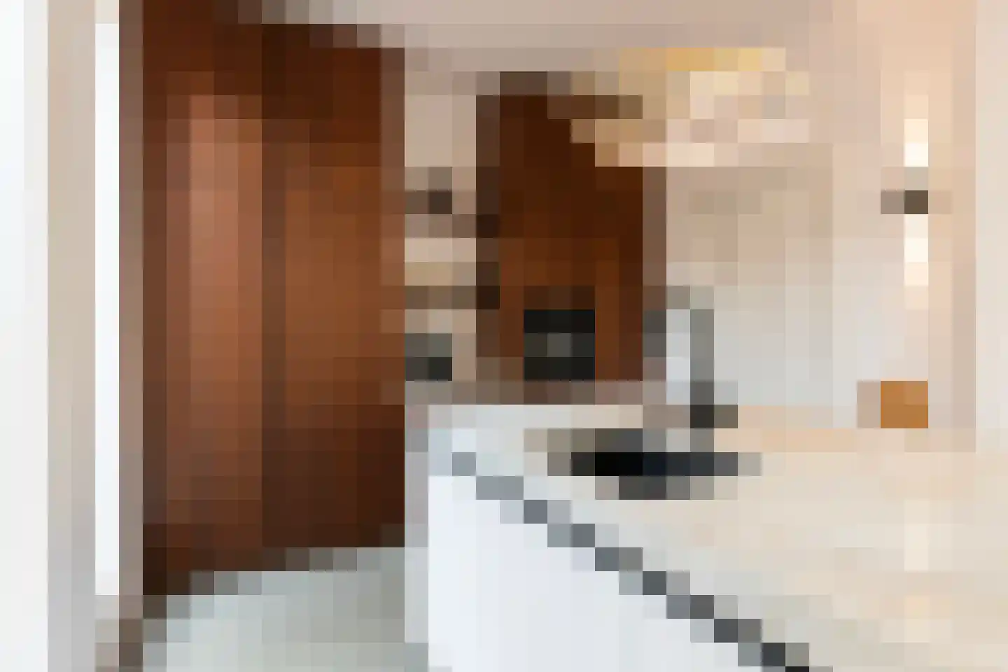 Koppellaan 6 Apeldoorn thumbnail 33