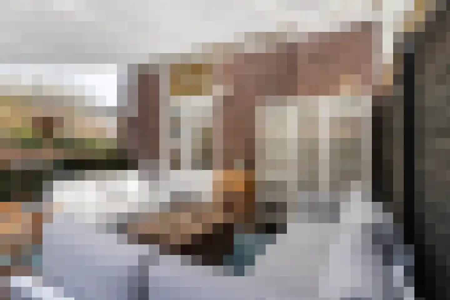 Koppellaan 6 Apeldoorn thumbnail 37