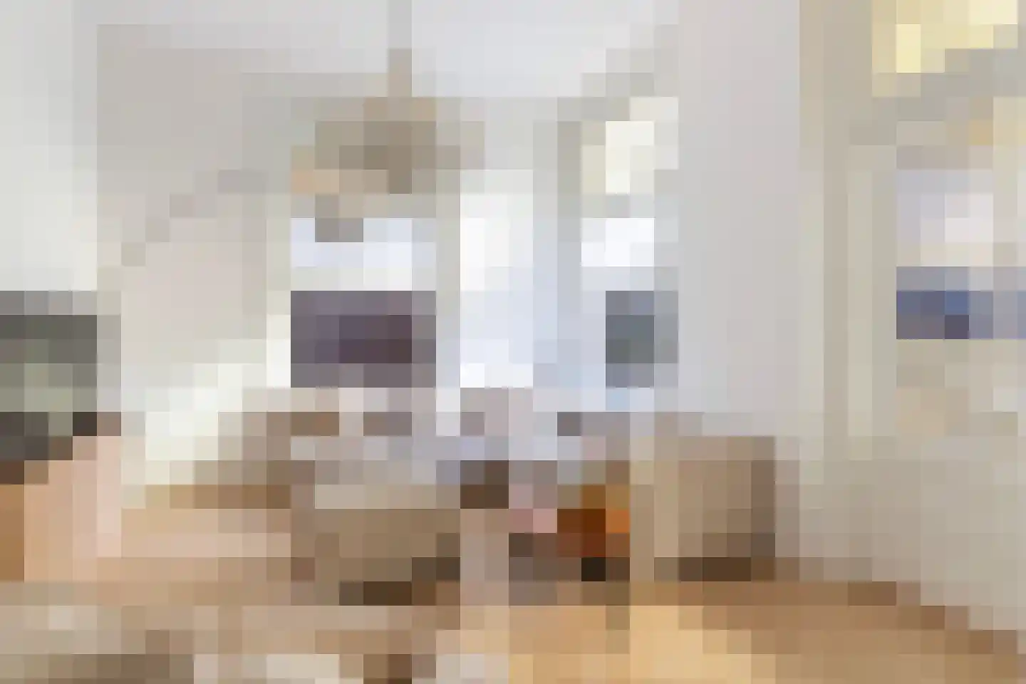 Koppellaan 6 Apeldoorn thumbnail 6