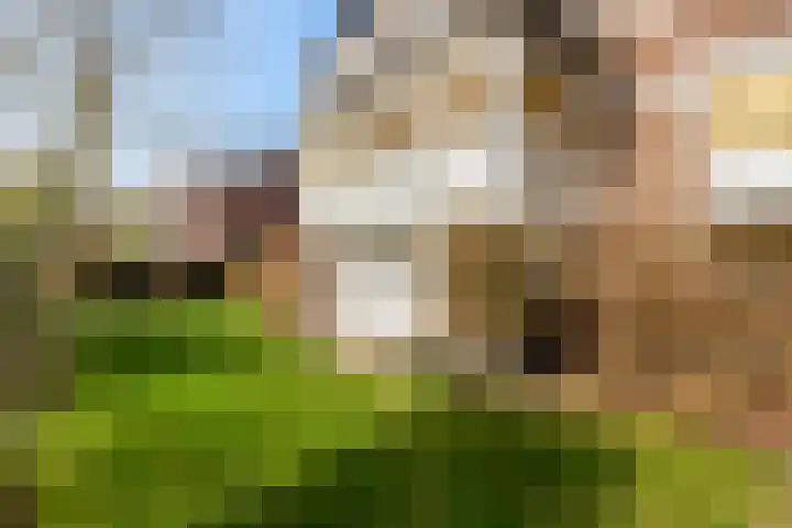 Koppellaan 6 Apeldoorn thumbnail 62