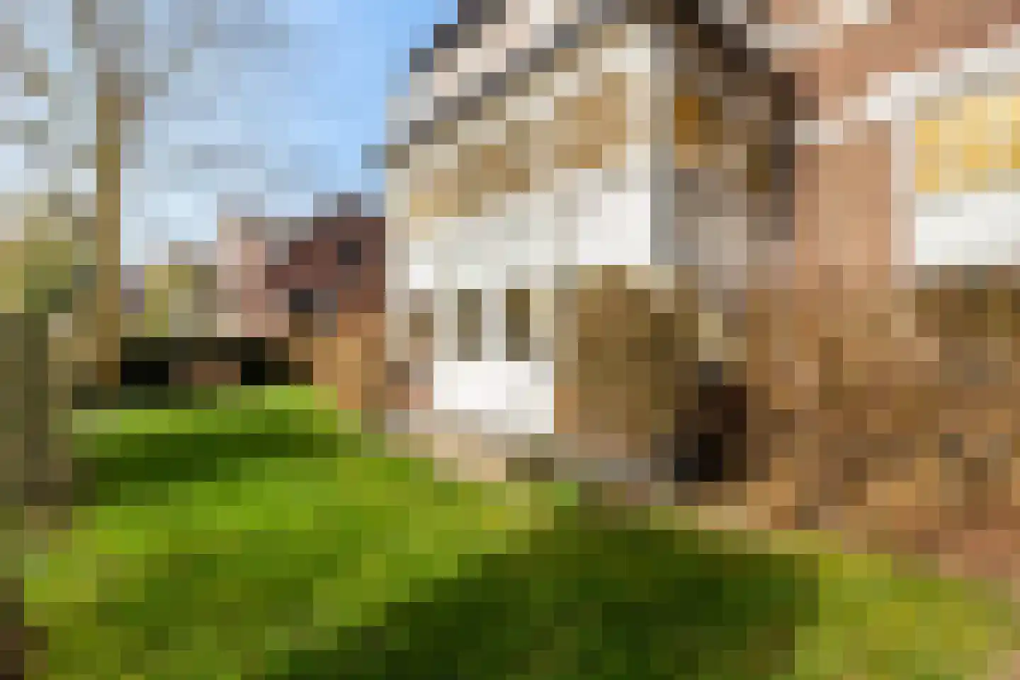Koppellaan 6 Apeldoorn thumbnail 62