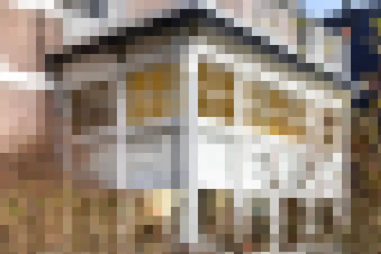 Koppellaan 6 Apeldoorn thumbnail 63