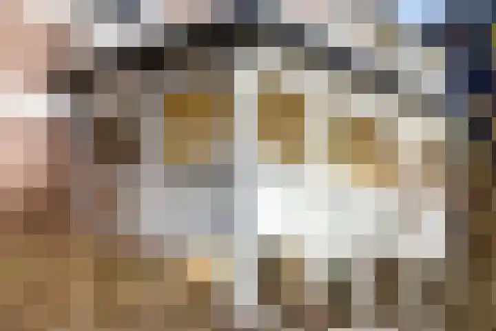 Koppellaan 6 Apeldoorn thumbnail 63