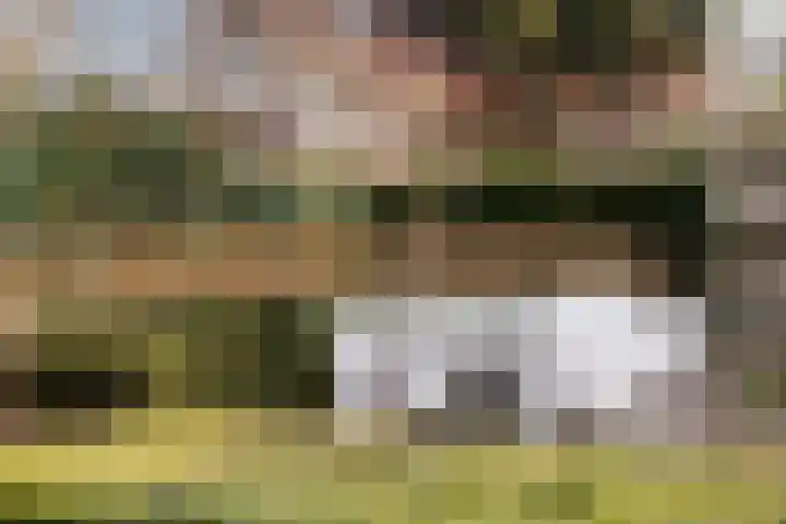 Koppellaan 6 Apeldoorn thumbnail 65