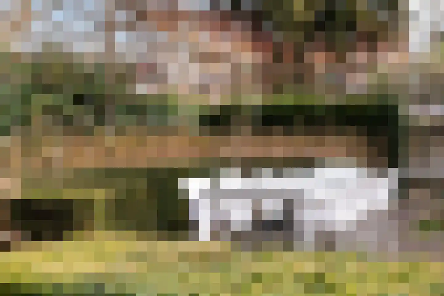 Koppellaan 6 Apeldoorn thumbnail 65