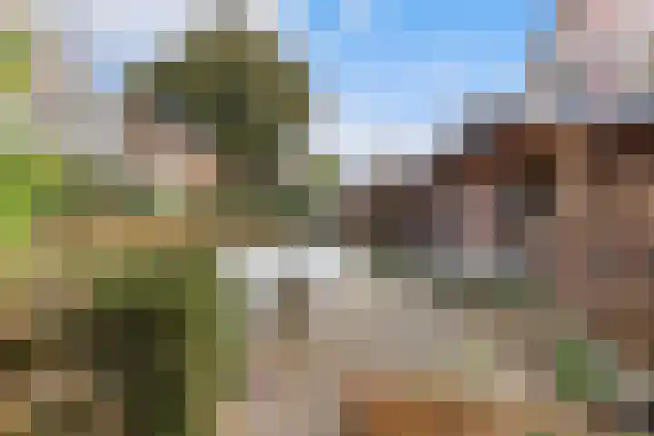Koppellaan 6 Apeldoorn thumbnail 66