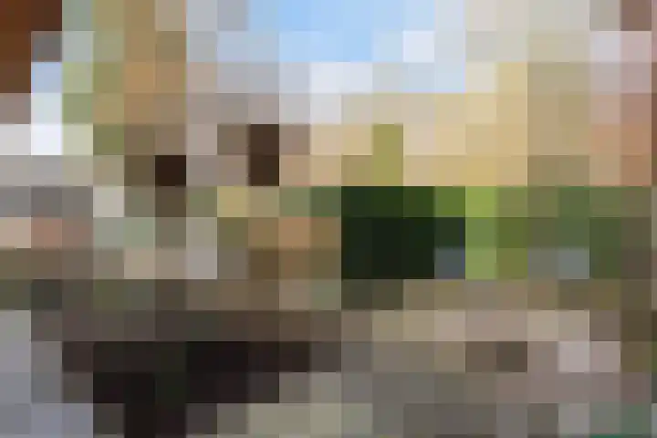 Koppellaan 6 Apeldoorn thumbnail 67